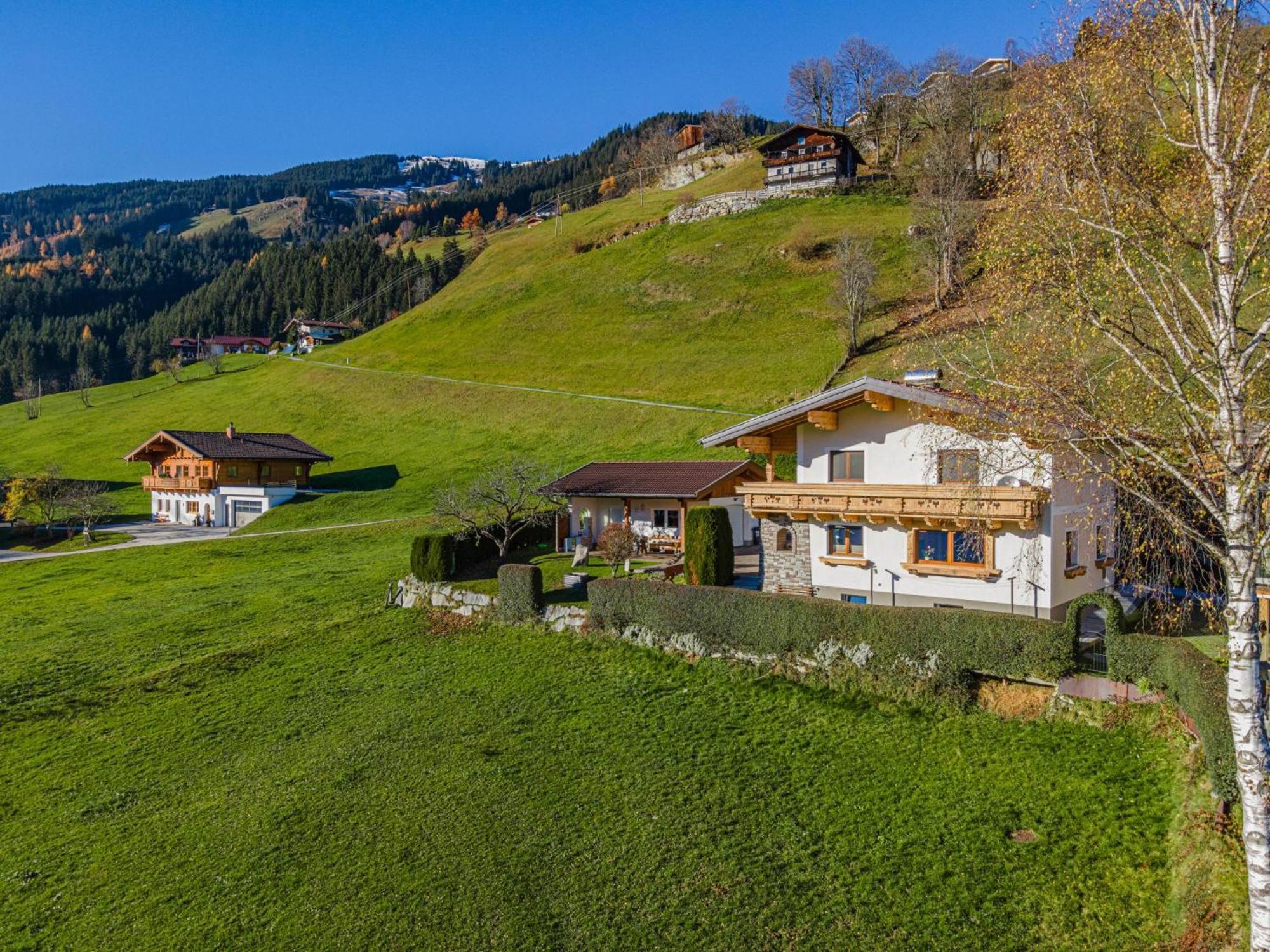 Gipfelblick Appartement Hollersbach im Pinzgau